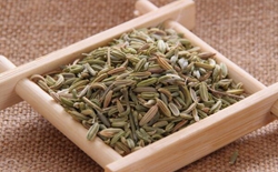 如何選擇茶葉包裝機(jī)廠家？選擇標(biāo)準(zhǔn)解析茶葉包裝機(jī)廠家。